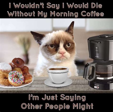 big cat coffee memes|60 Hilarious Coffee Memes in 2024 That Will Make。